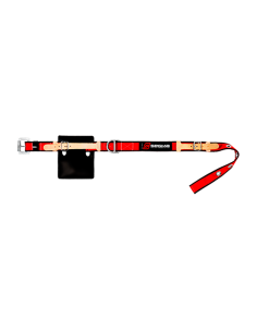 Cinturón Minero Grammy